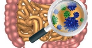 Microbiota intestinal