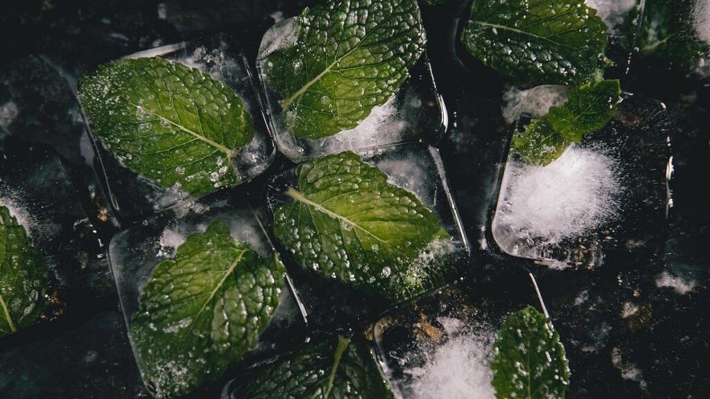 Folhas de Hortelã em cubos de gelo no xarope