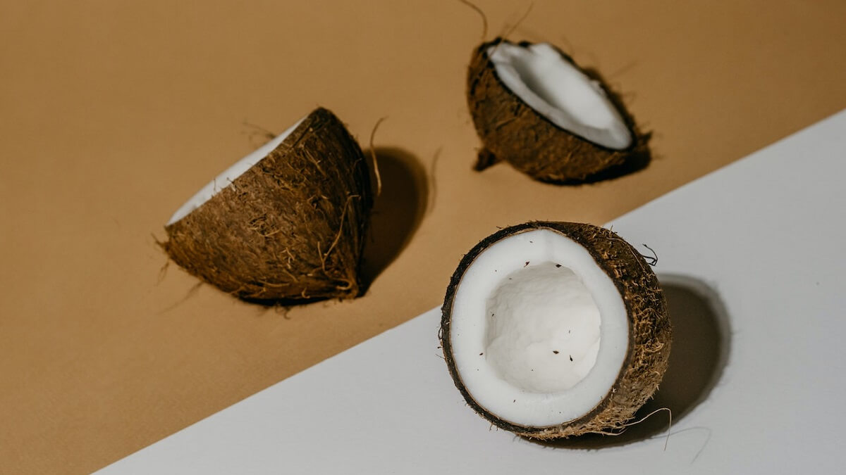 Coco babaçu cortado ao meio