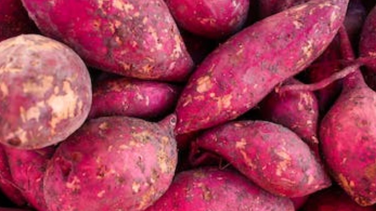 Como fazer batata doce? Tutorial completo!