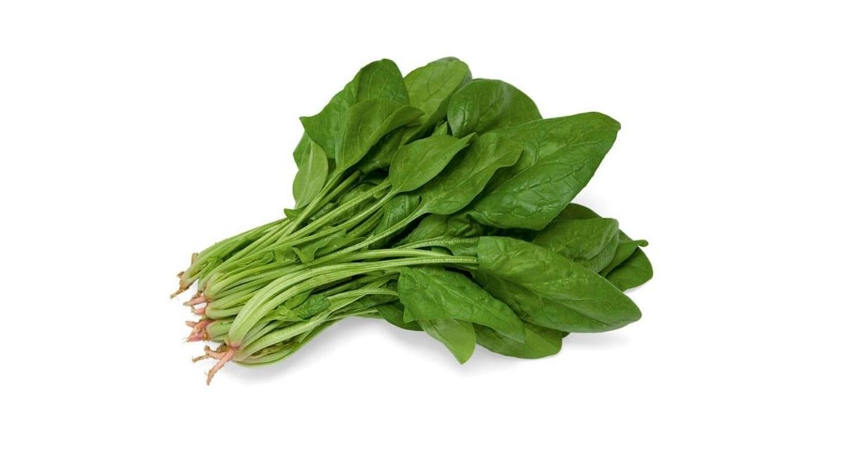 Espinafre.