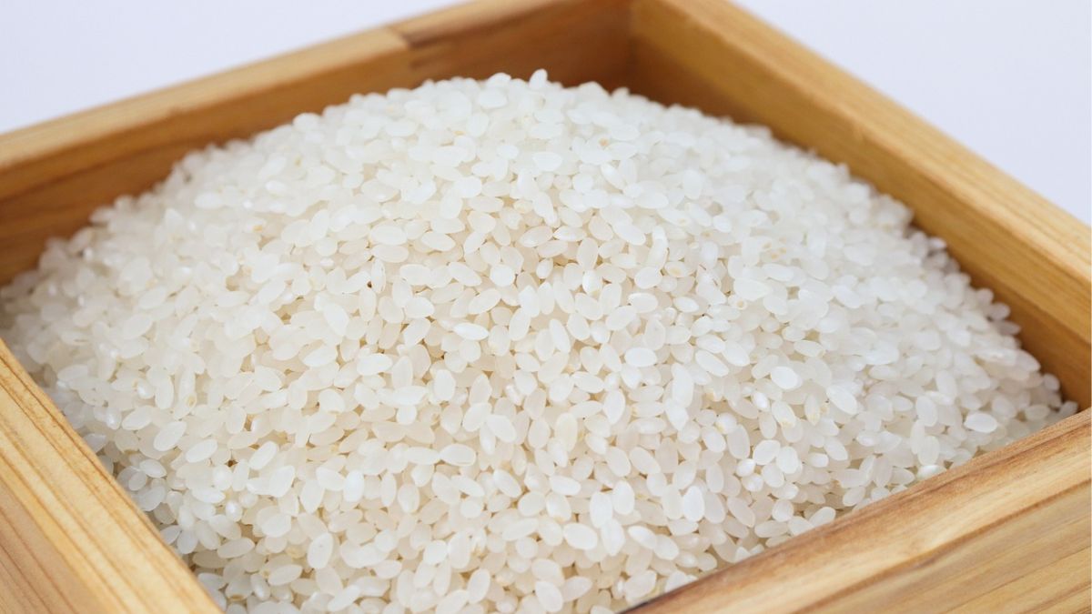 Como fazer Arroz no Microondas: Receita completa!